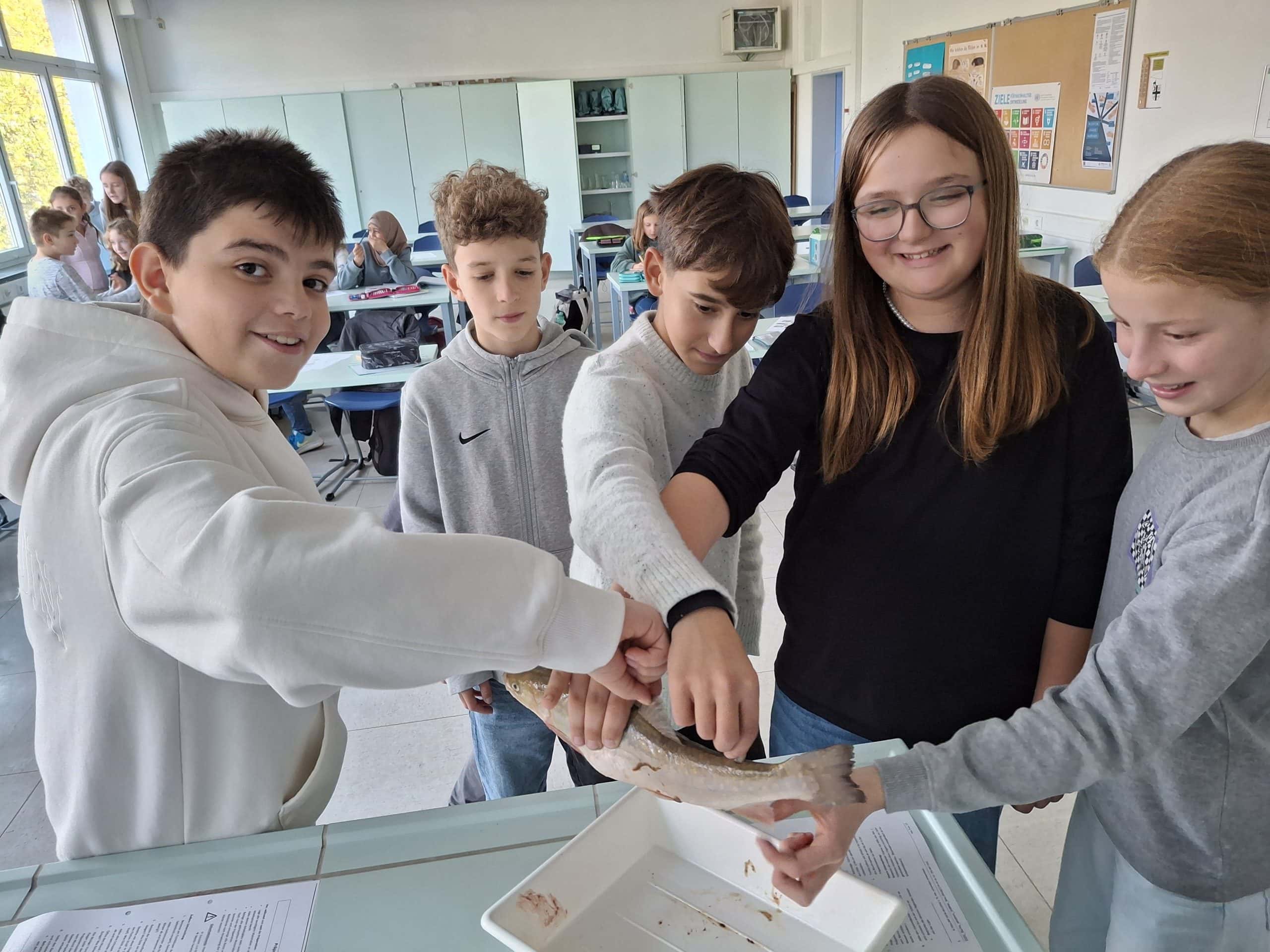 6a Biologie Homepage 2