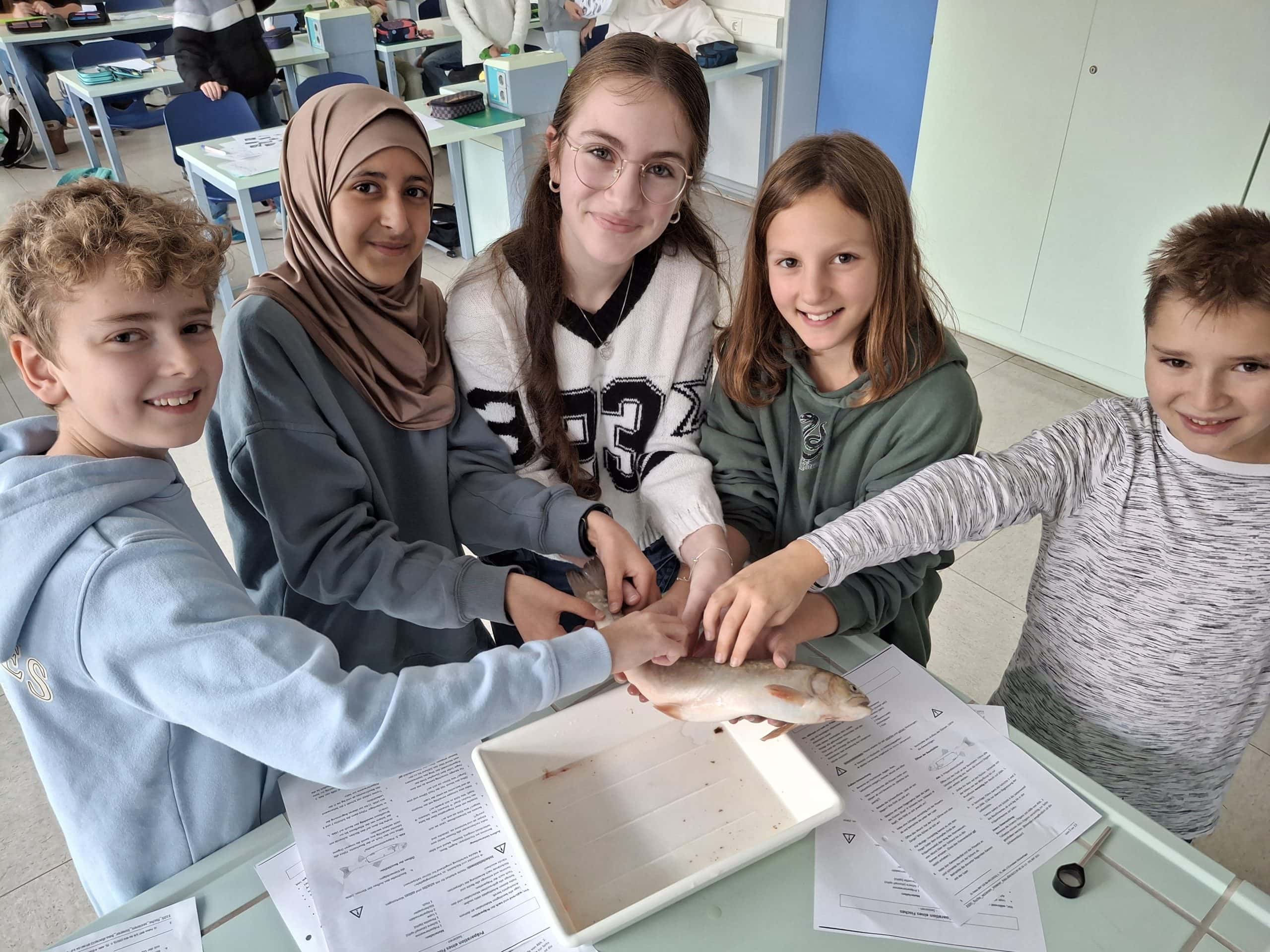6a Biologie geeignet für soziale Medien